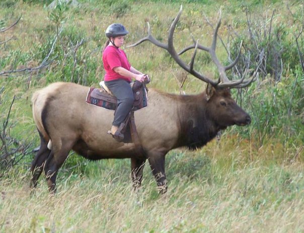 kid riding elk