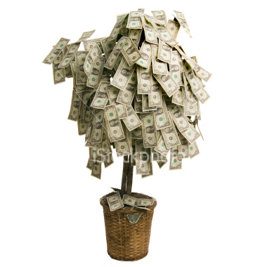 money-tree-