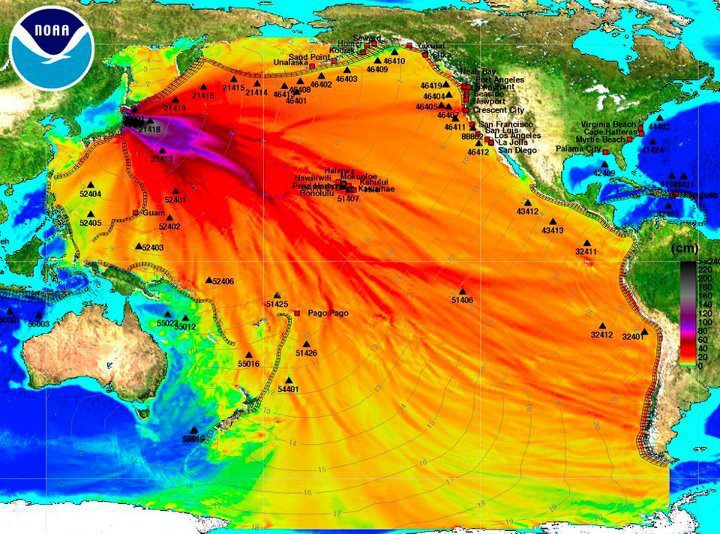 fukushima-radioactive-seawater-2.jpg